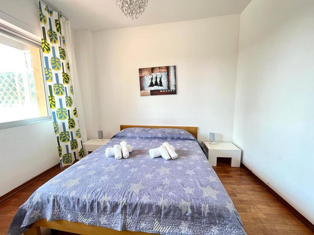 Imperiale Apartment Tirrenia Exteriör bild